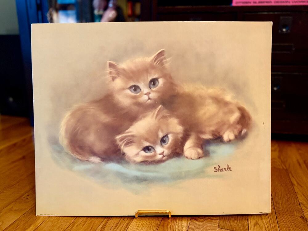 Vintage Kitten Big Eyes Print Sherle Museum Print Editions Cat Wall Art 20x16